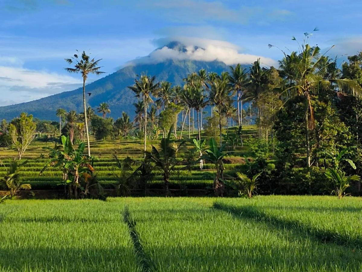 ホテル Sawah Ijen Licin エクステリア 写真