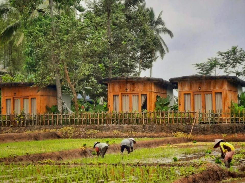 ホテル Sawah Ijen Licin エクステリア 写真